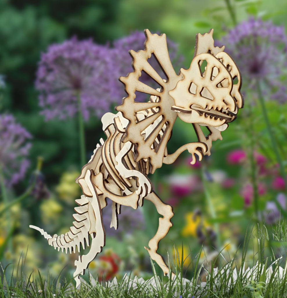 Dilophosaurus Dinosaur Skeleton 3D Wooden Puzzle – Laser Cut Model Kit