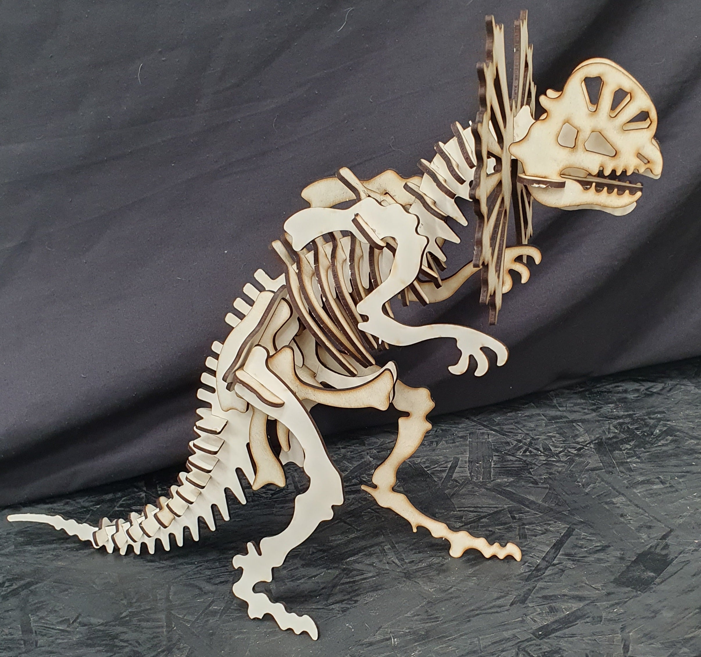 Dilophosaurus Dinosaur Skeleton 3D Wooden Puzzle – Laser Cut Model Kit