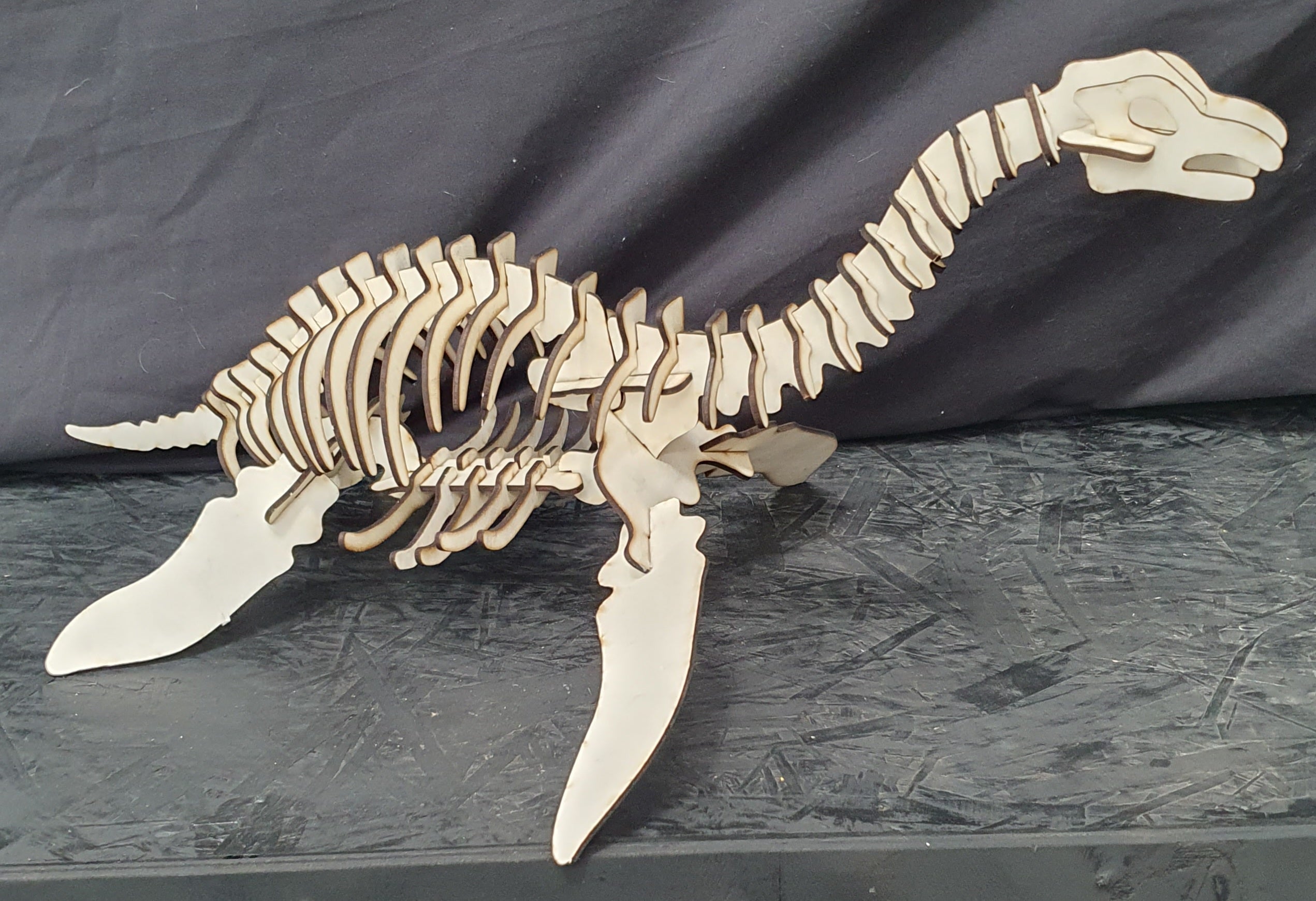 Plesiosaurus Dinosaur 3D Wooden Puzzle Kit – Build, Paint & Display