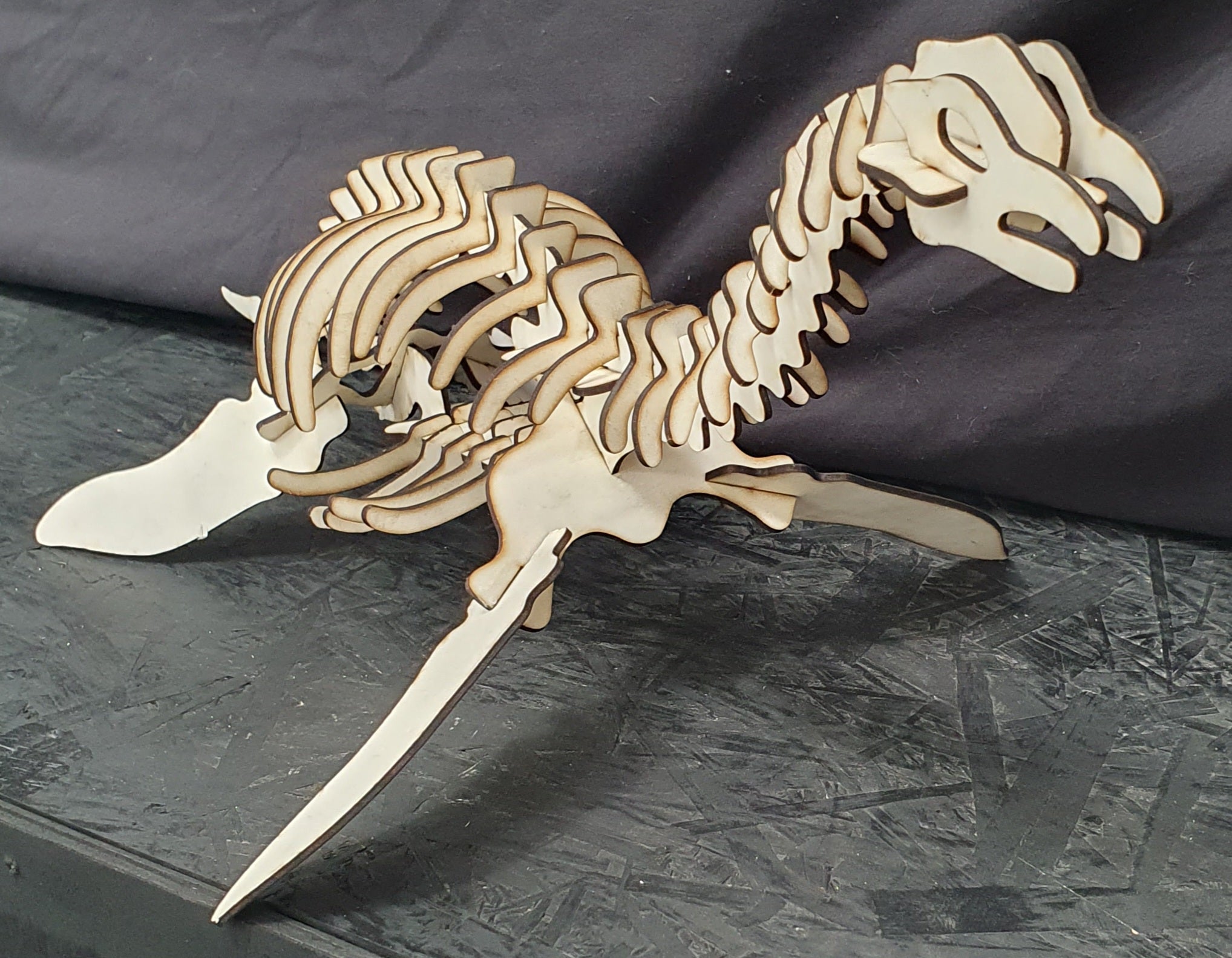 Plesiosaurus Dinosaur 3D Wooden Puzzle Kit – Build, Paint & Display