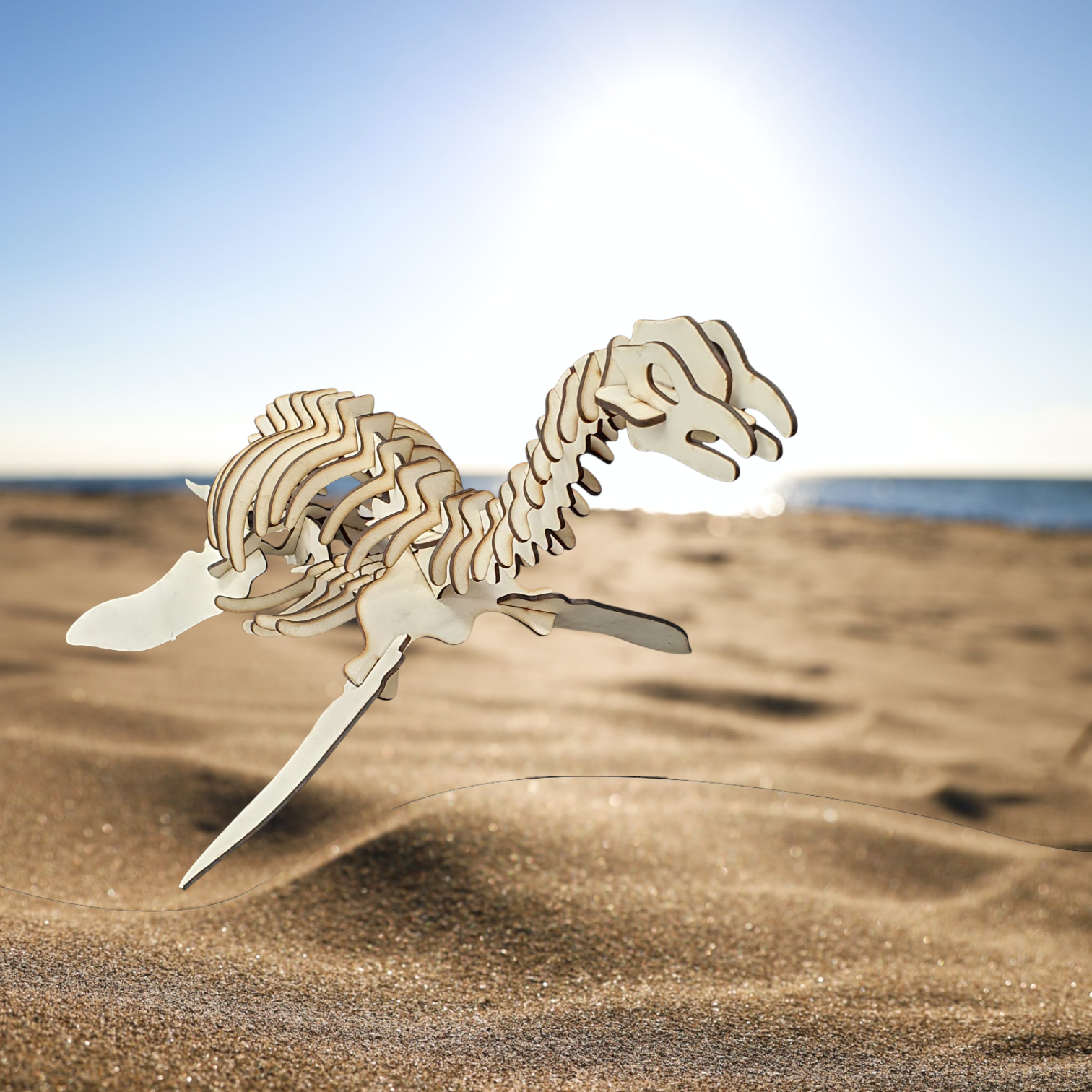 Plesiosaurus Dinosaur 3D Wooden Puzzle Kit – Build, Paint & Display