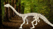 Brontosaurus Dinosaur Puzzle Kit – Build, Paint & Display