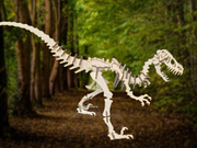 Velociraptor Dinosaur 3D Wooden Puzzle