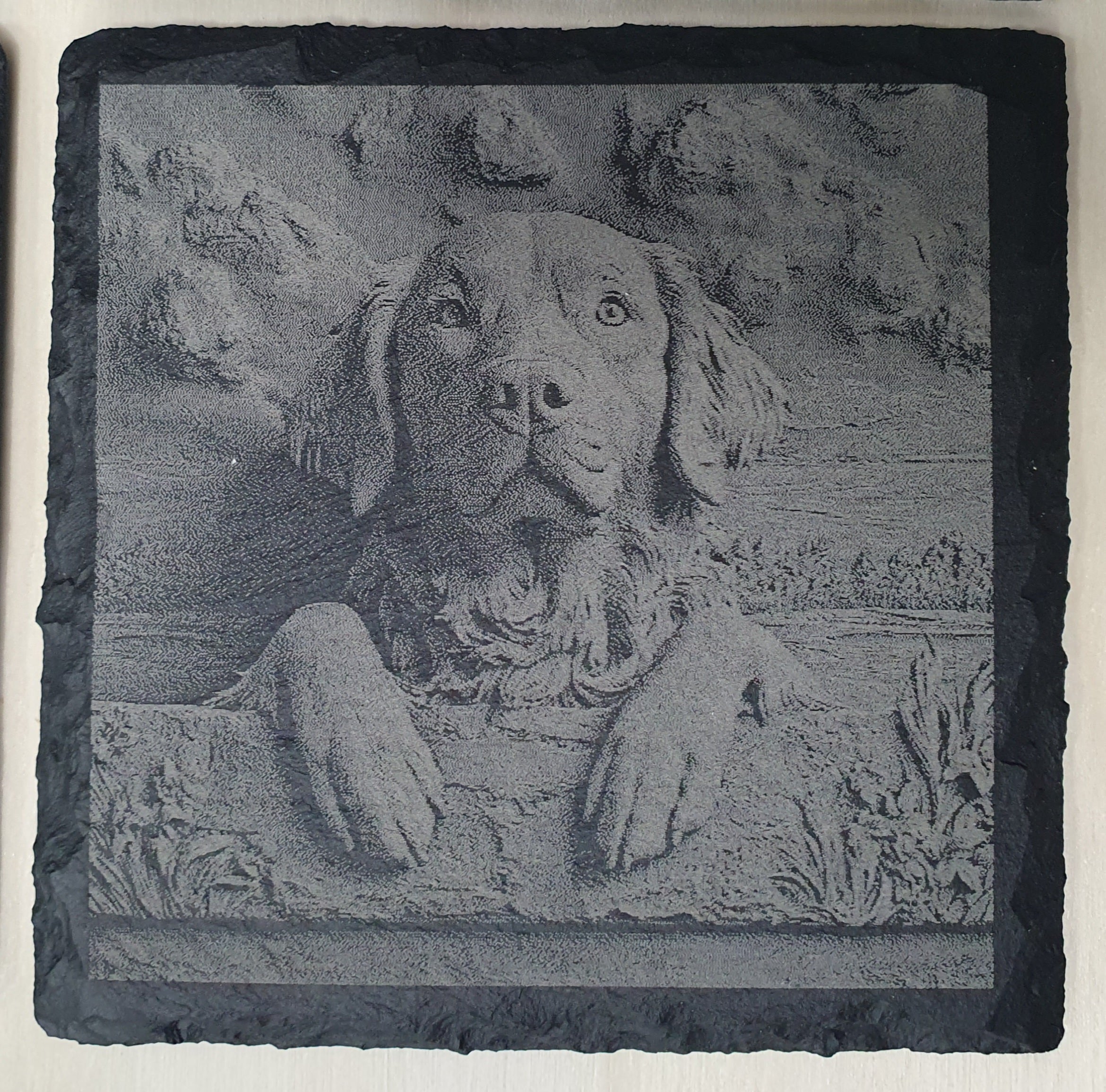 Personalised Slate Dog Breed Coaster Set with Free Wooden Storage Box