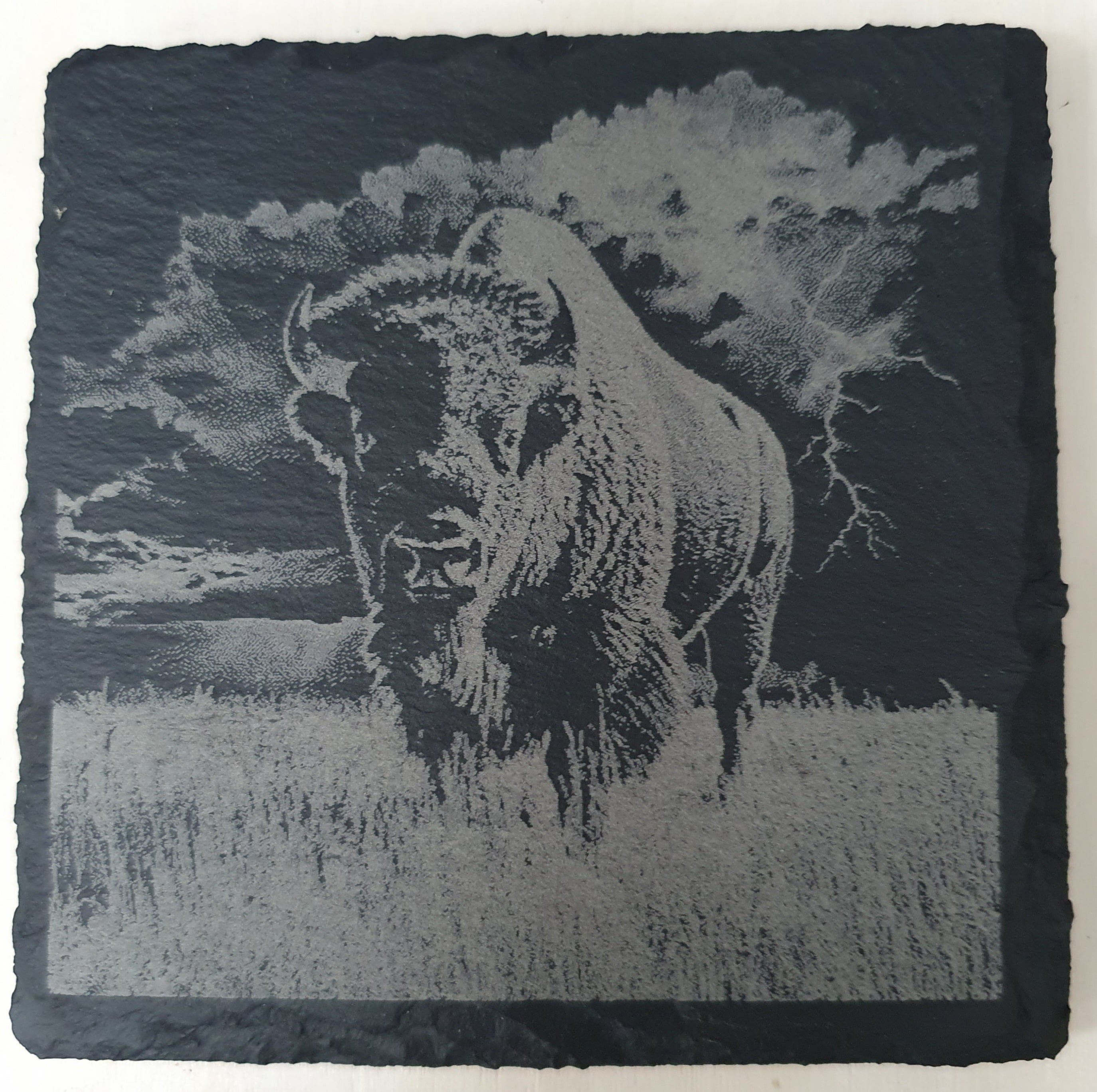 4-Piece Engraved Wildlife Slate Coaster Set - Giraffe, Bison, Elephant & Panda