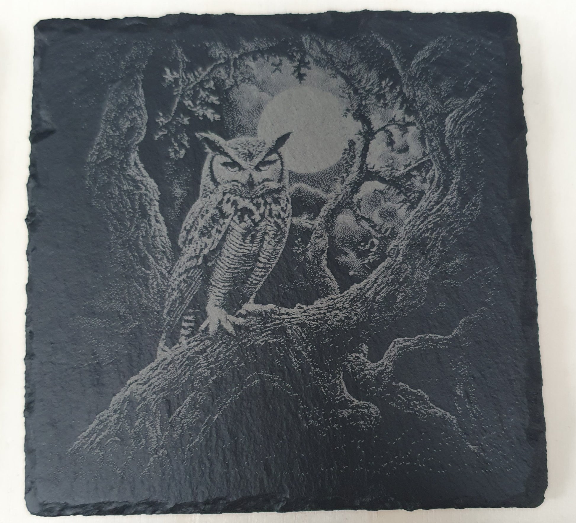 Slate coaster with engraved design of an owl in a tree