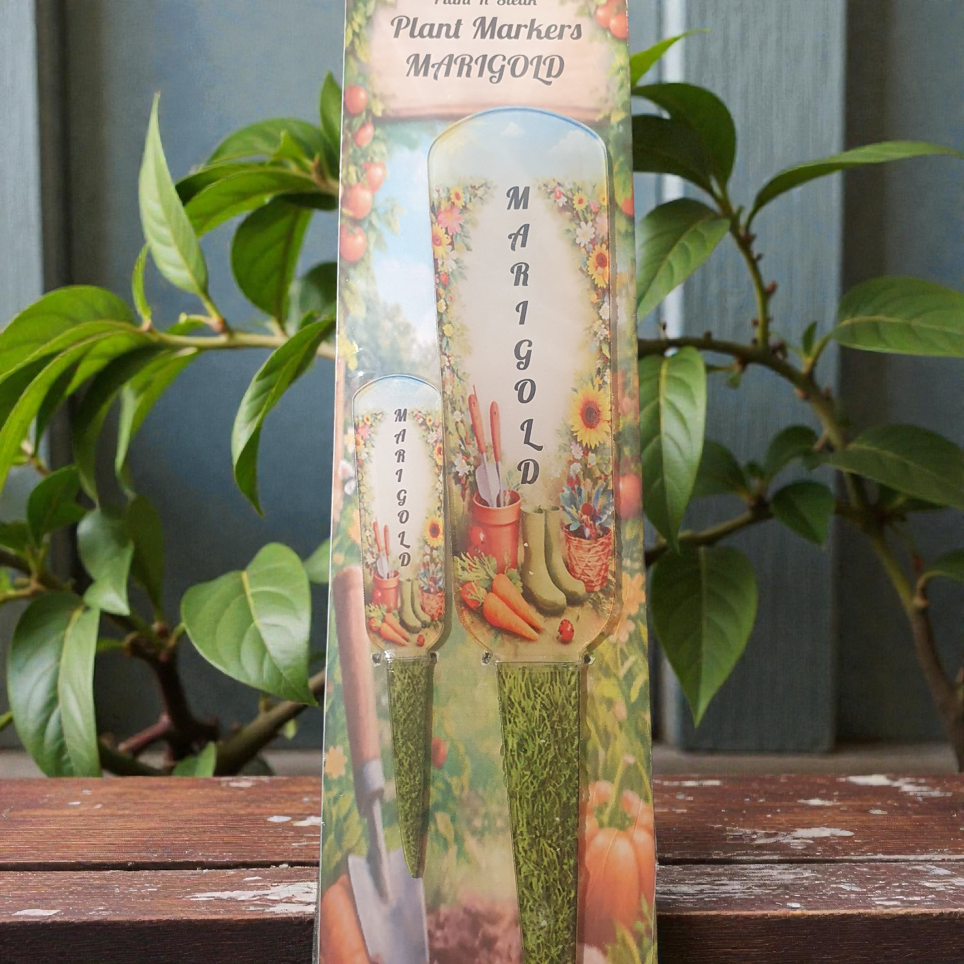 Flower plant stake in outdoor border highlighting durable weatherproof material.