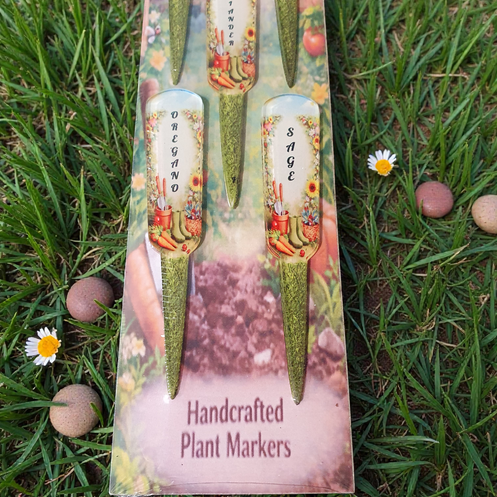 Front view of Plant ‘n’ Steak Herb Garden plant markers set including Rosemary, Basil and Coriander, packaged for retail and photographed outdoors in a garden lawn.