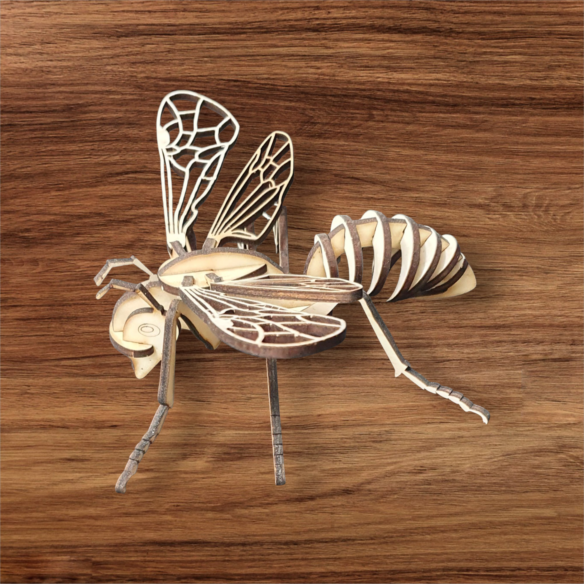 Wooden Model Bee – DIY Kit | Build, Paint & Display
