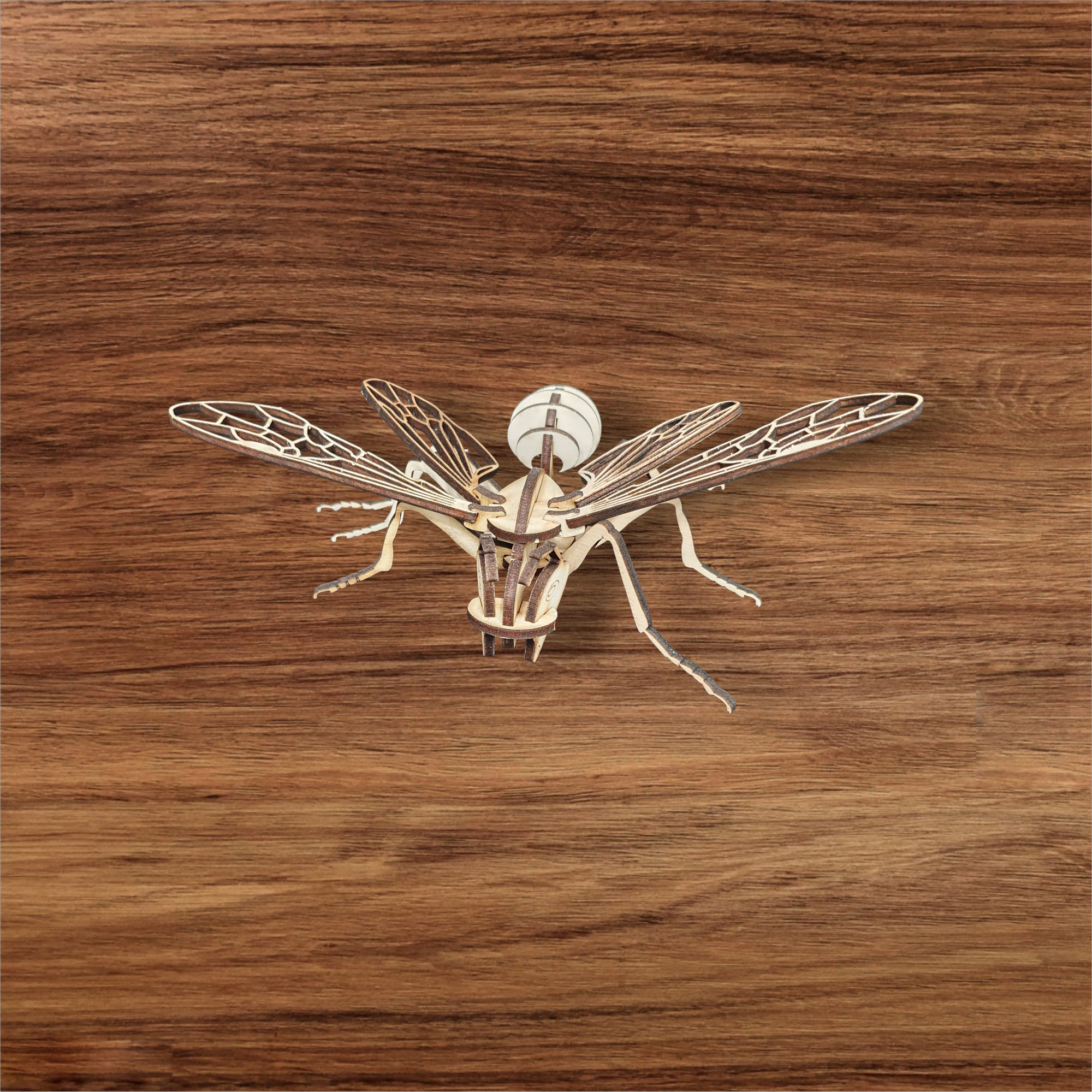 Wooden Model Bee – DIY Kit | Build, Paint & Display