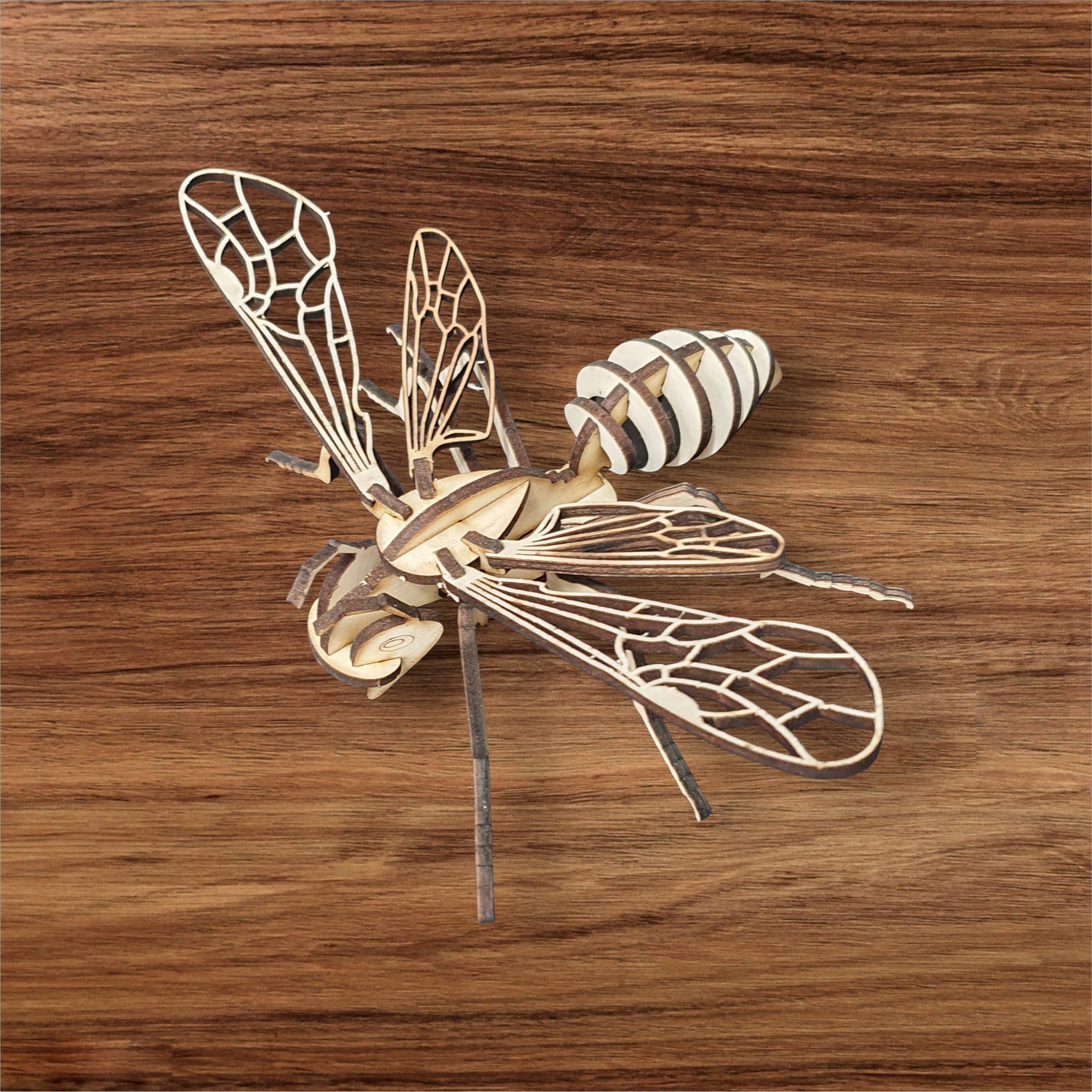 Wooden Model Bee – DIY Kit | Build, Paint & Display