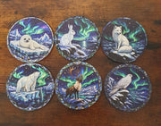 Complete collection of six stained-glass Arctic animal coasters featuring baby seal, polar bear, Arctic fox, hare, snowy falcon and reindeer beneath colourful Northern Lights.