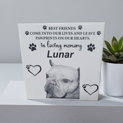 Memorial plaque for a pet named Lunar with text and paw prints on a gray background