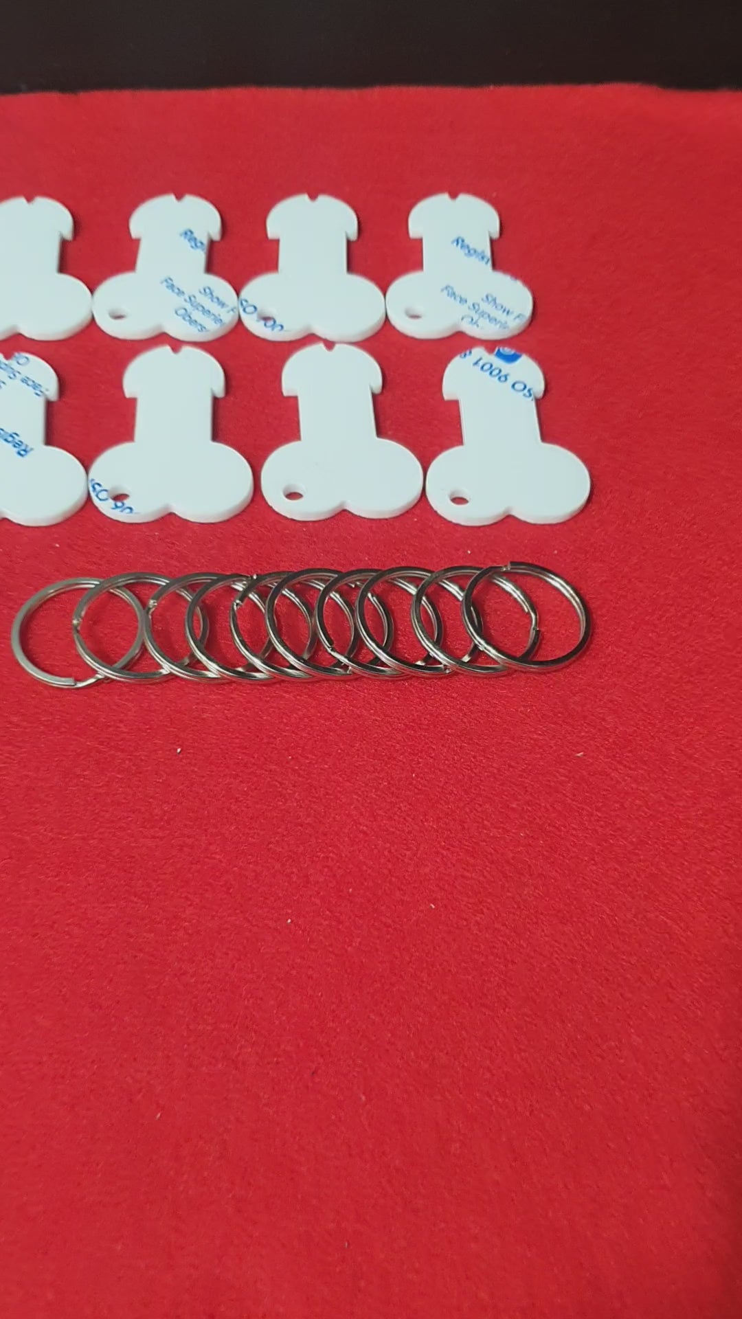 Load video: Close up of smooth white acrylic trolley coin blanks for custom craft projects